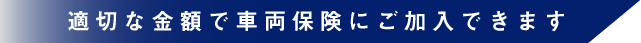 車両保険にご加入できます