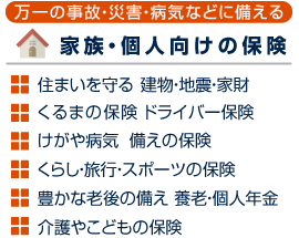 家族・個人向けの保険